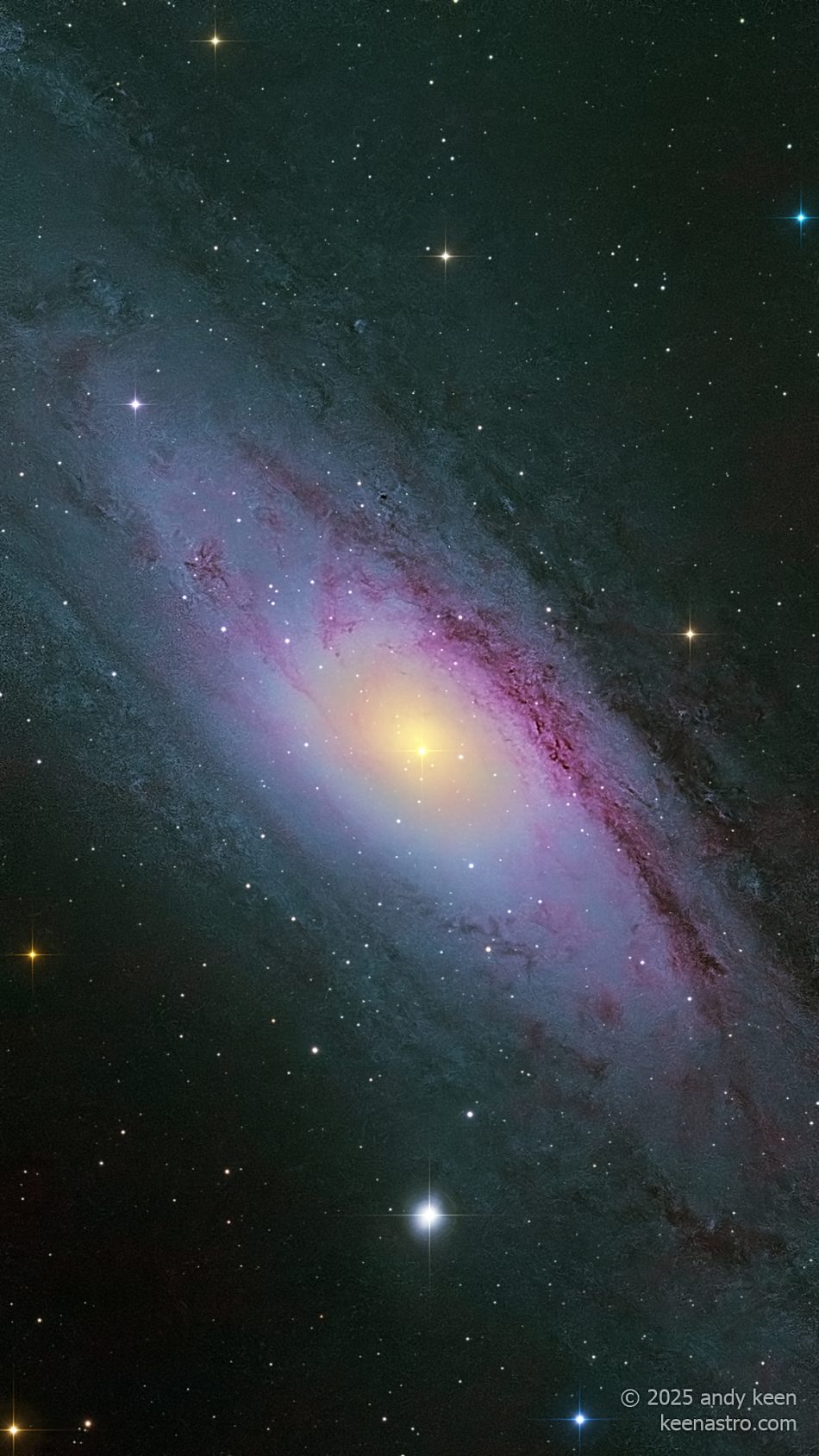 Capturing the Andromeda Galaxy (M31) with the Seestar S50