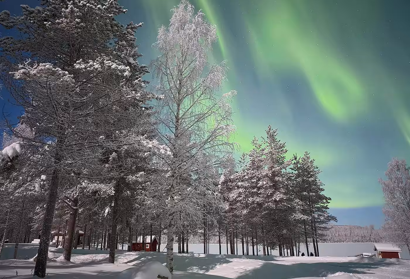 Northern Lights tour Sweden in Swedish Lapland